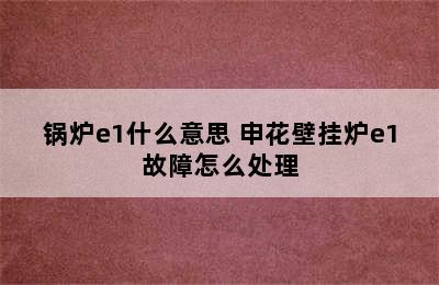 锅炉e1什么意思 申花壁挂炉e1故障怎么处理